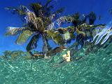 PF Moorea_082009 2